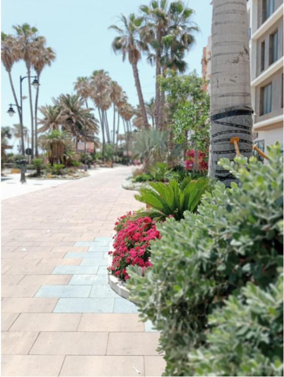 Beach Side Apartment -Estepona Extérieur photo